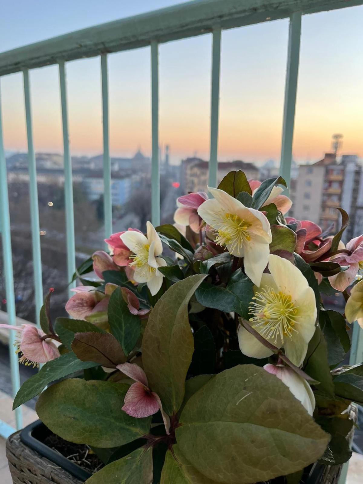 Апартаменты Attico Ellen Terrazza Con Vista Турин Экстерьер фото