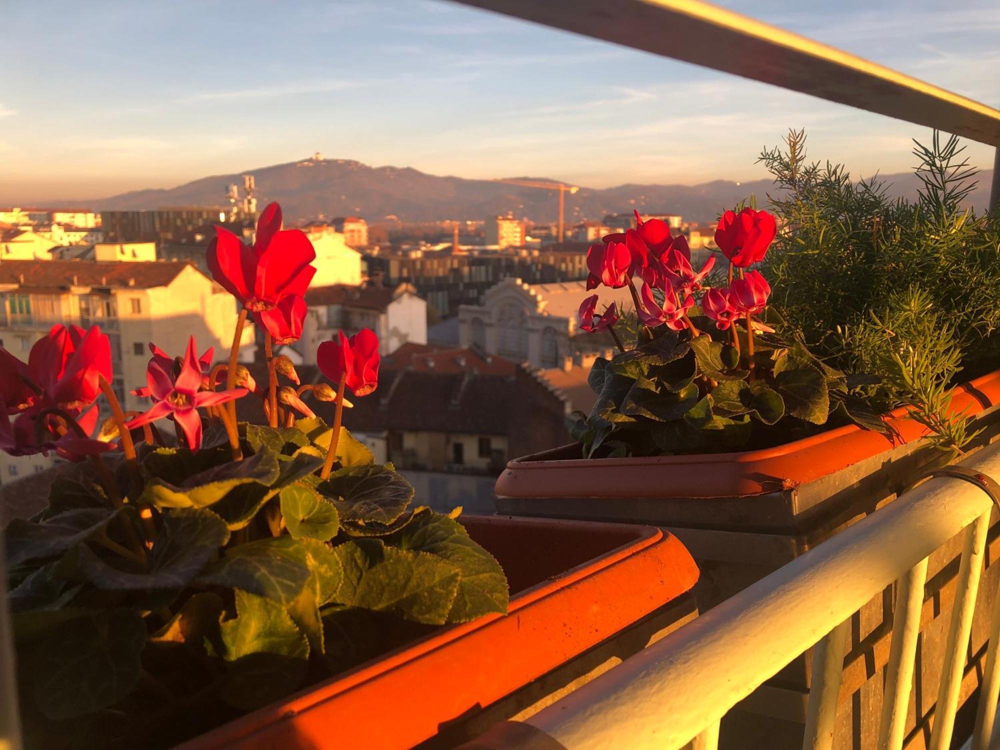 Апартаменты Attico Ellen Terrazza Con Vista Турин Экстерьер фото